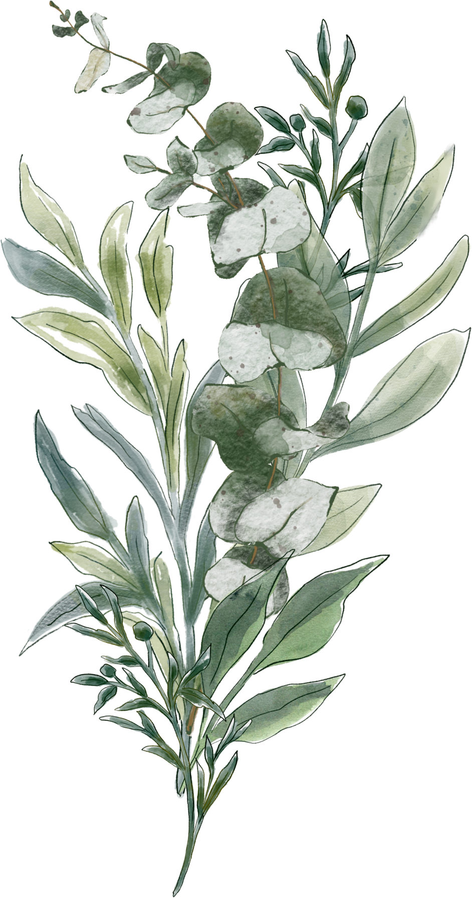 Wedding greenery bouquet. Eucalyptus brances.